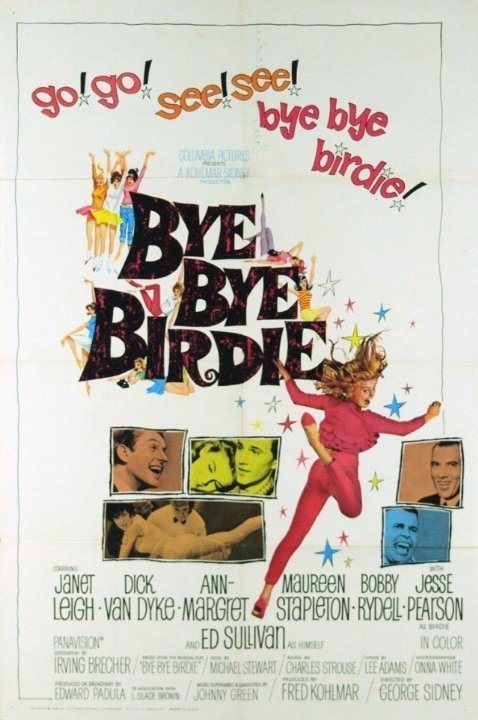 Bye Bye Birdie Movie Poster